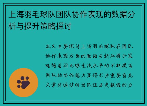 上海羽毛球队团队协作表现的数据分析与提升策略探讨